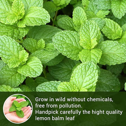 Lemon Balm Tea, 100% Pure & Natural Lemon Balm Leaves Herbal Tea Bags, Promotes Relaxation & Aid In Digestion, Caffeine Free, Non-GMO, Additives Free (1 Pack/40Bags)
